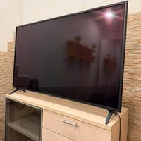 TV LG 55 pollici perfettamente funzionante