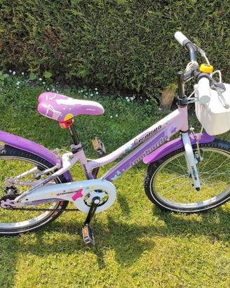 bicicletta 