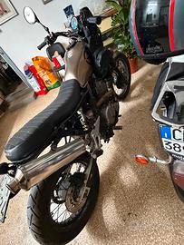 suzuki xf freewind