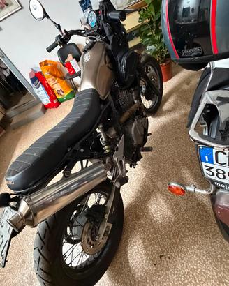 suzuki xf freewind