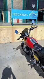 Fantic Caballero 500 - 2024