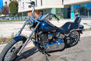 harley davidson softail custom 