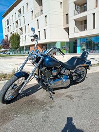 harley davidson softail custom 