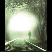 sui binari dell' anima Roberta recchia