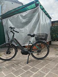 bicicletta a pedalata assistita da città