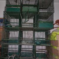 Gabbie per uccelli da richiamo