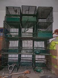 Gabbie per uccelli da richiamo