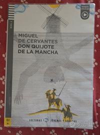don quijote