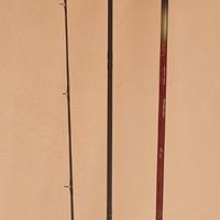 canna inglese dayton strong