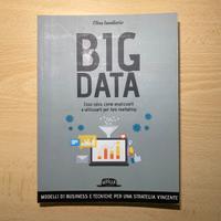 Big Data - Elisa Iandorio