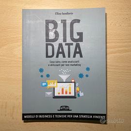 Big Data - Elisa Iandorio