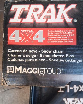 Catene ragno Maggi Group per auto non catenabili