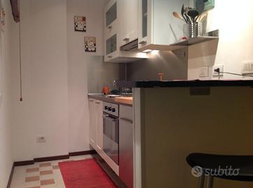 San Lazzaro di Savena, ampio trilocale di 100mq,