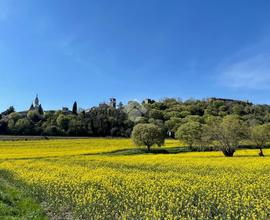 3 LOCALI A LONATO DEL GARDA