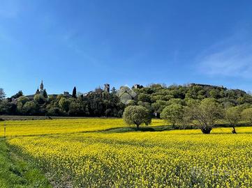 3 LOCALI A LONATO DEL GARDA