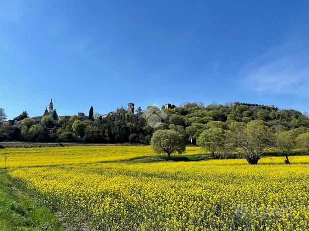 3 LOCALI A LONATO DEL GARDA