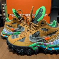 NIKE AIR TERRA FORMA OFF-WHITE AVENA VERDE ACCESO.