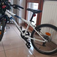 Rockrider bici MTB 20 pollici