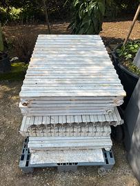 Termosifoni in ghisa (9 in ghisa, 1 in allumio)