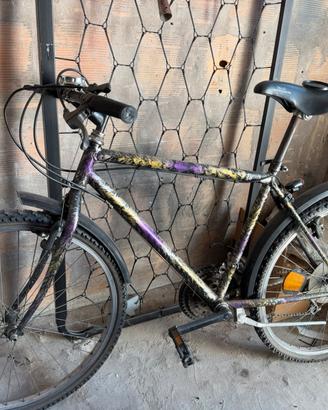Bicicletta Mountatain Bike