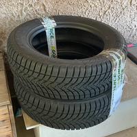 copertoni auto 195/60R15
