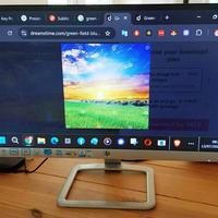 Monitor HP 22er 21.5" Full HD IPS HDMI- come nuovo