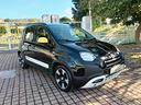 fiat-panda-1-0-firefly-s-s-hybrid-pandina