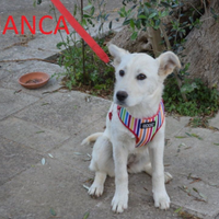 Bianca e' stata ADOTTATA