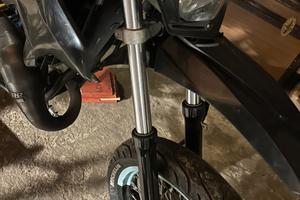 FORCELLE BETA 50 SPORT