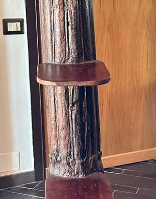 Colonna legno tucano