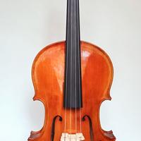 Viola di Liuteria 