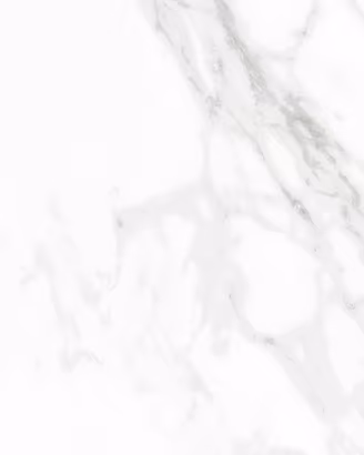 Mattonelle - Rivestimenti Armani Statuario 120x120