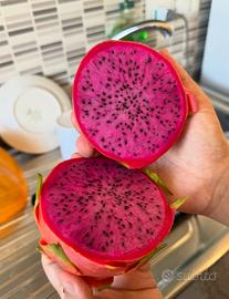 Dragon fruit