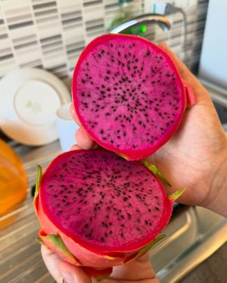 Dragon fruit