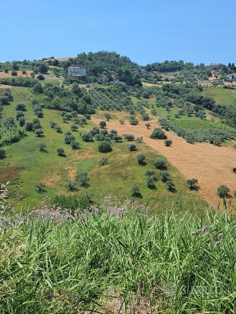 Terreno agricolo - Vista 4