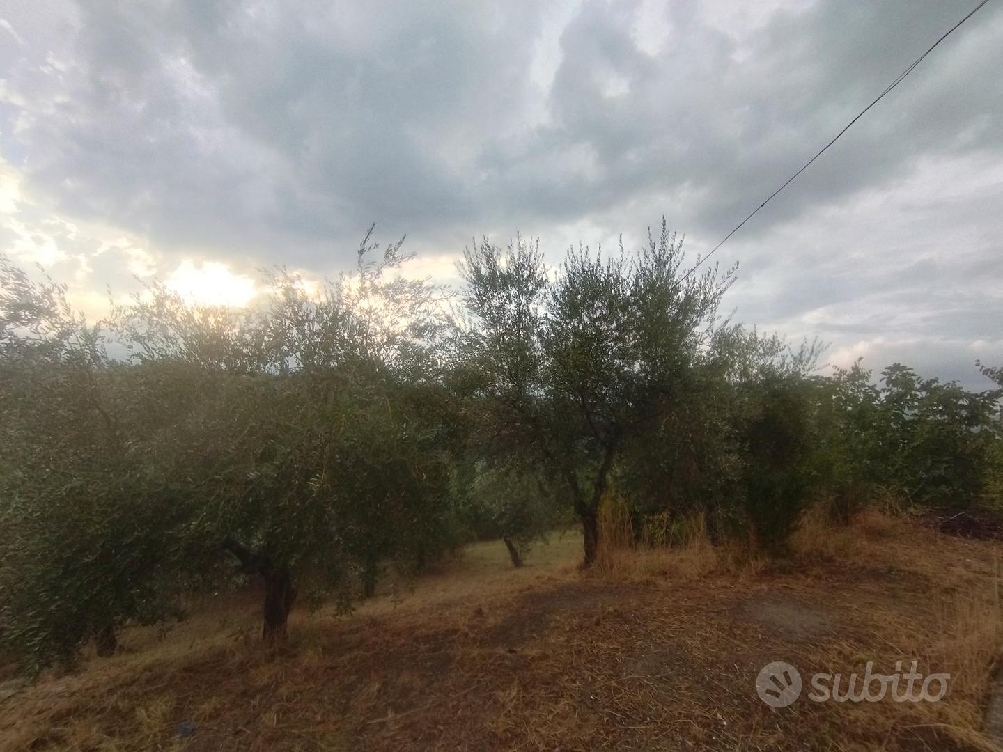 casa singola con terreno Chioviano Alto (Bisenti) - Vista 3