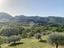 Immagine 29