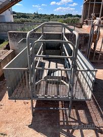 Gabbia parto scrofe con box suinetti