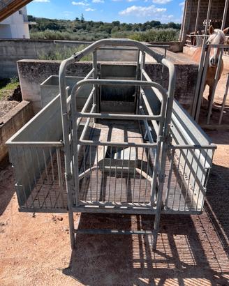 Gabbia parto scrofe con box suinetti