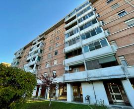 Appartamento - Alessandria