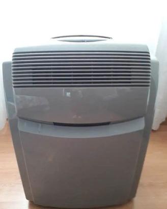 Condizionatore Pinguino De longhi funzionante