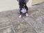Immagine 4