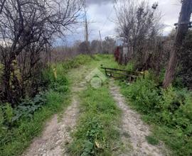 TER. AGRICOLO A TIVOLI