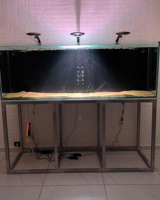 Acquario