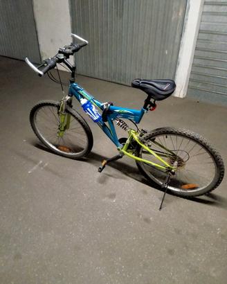 bicicletta 
