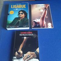 Libro più dvd Parole e Canzoni Ligabue 