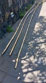 canne cannizzi per ortaggi o per ombreggiare