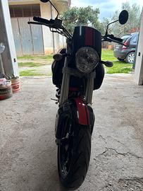 Mulhacen cafè 125 2008