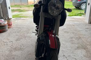 Mulhacen cafè 125 2008