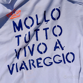 Piccolo terreno edificabile versilia e